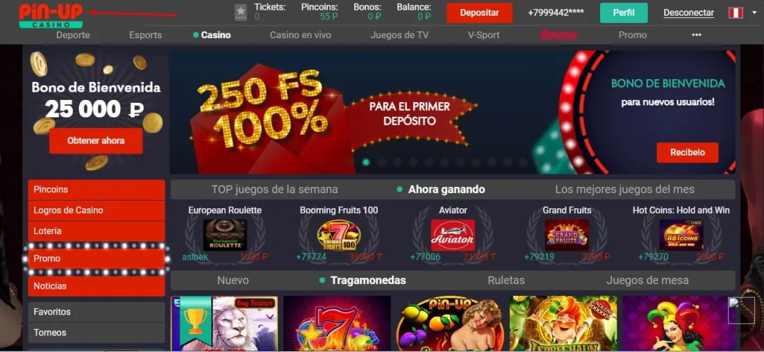 página de inicio del sitio apariencia del sitio