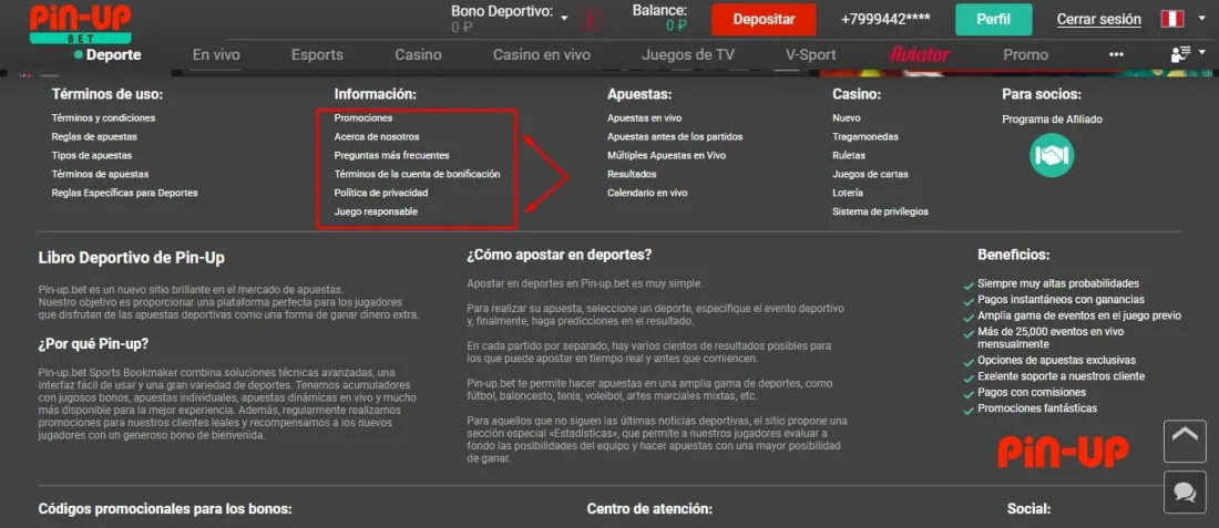información sobre el sitio web de la casa de apuestas